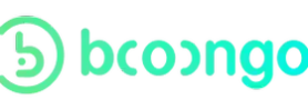 Booongo game provider
